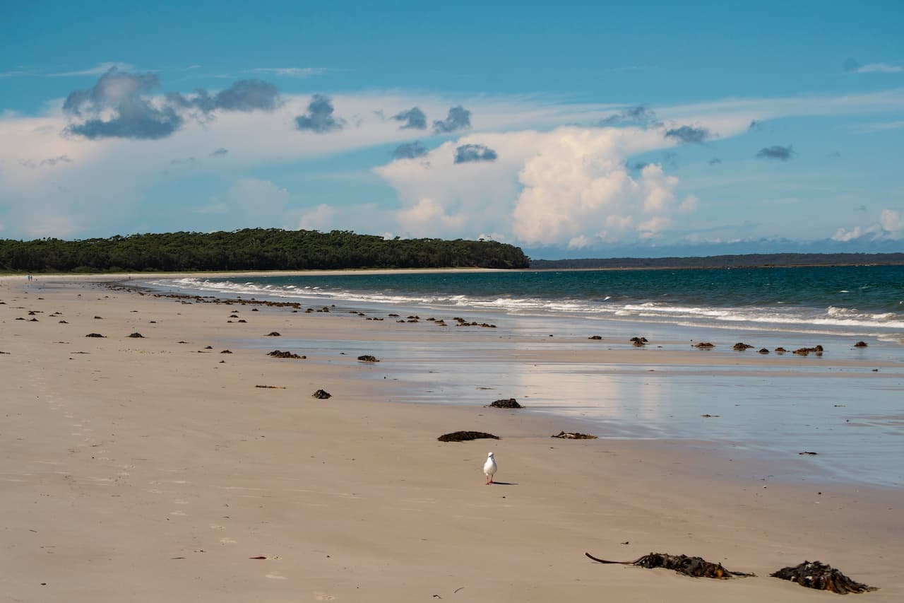 Body of missing bush walker located in the Central Coast