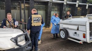 RSPCA inspectors seize 29 dogs from rural puppy farm