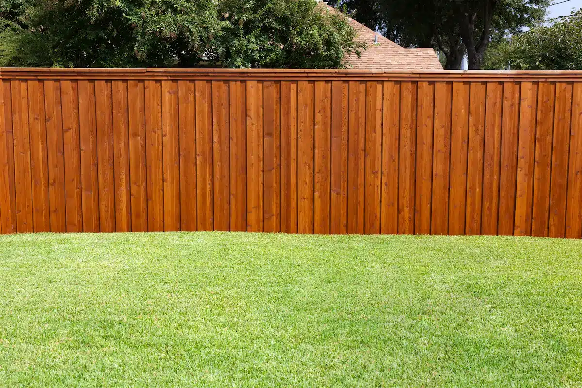 Giving your backyard a cheap and cheerful makeover